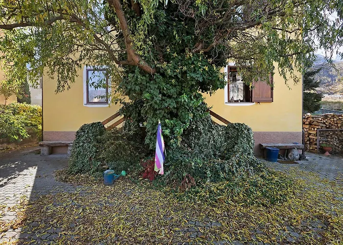 Da Roby - Carolina *